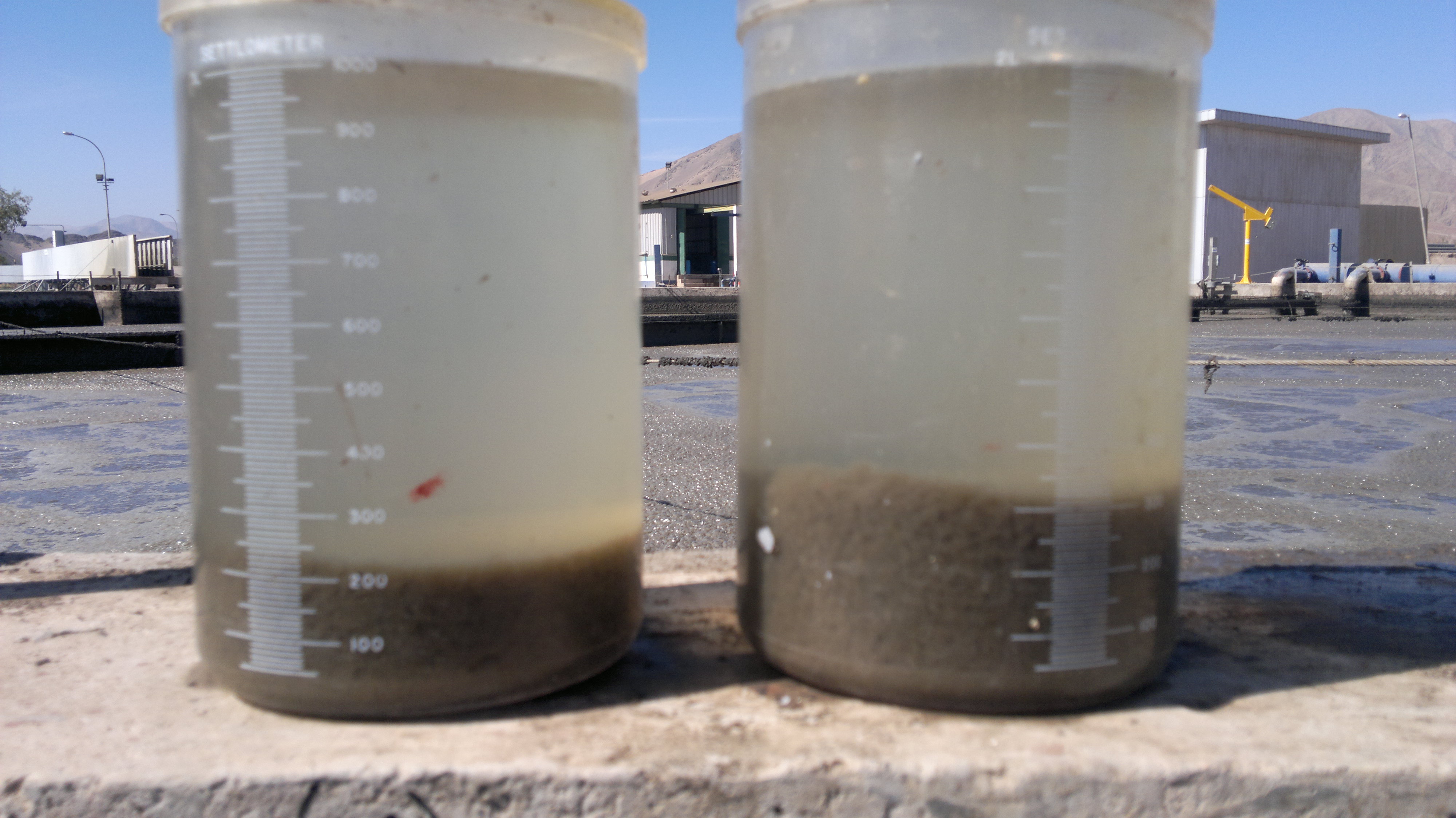 test sedimentacion